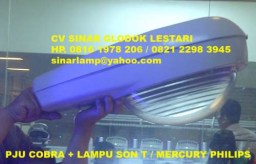 Lampu Jalan PJU Kobra HPIT 250W dan SON-T 250W Philips